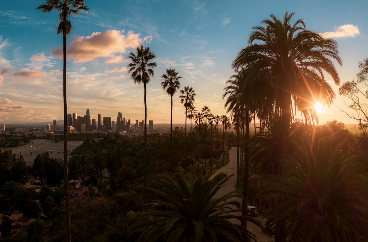 Palm trees with the Los Angeles skyline at sunset