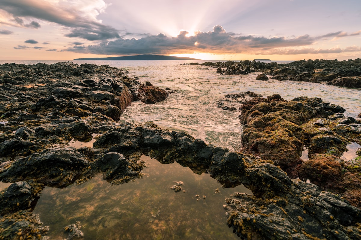 Rocky Maui shore at golden hour